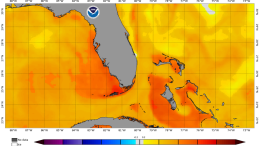 As of June 1, 2024, Florida's sea surface temperatures already are well above average and much warmer for this time of year, threatening another extreme bleaching event for the region's coral reefs.